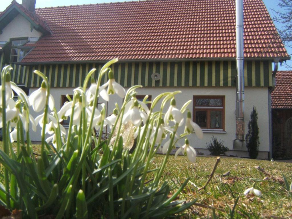 Bio Pension Kirschenfee Sontheim Kültér fotó